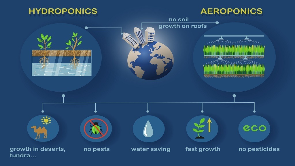 hydroponics vs soil