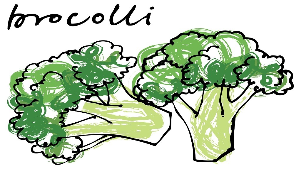 Grow Hydroponic Broccoli